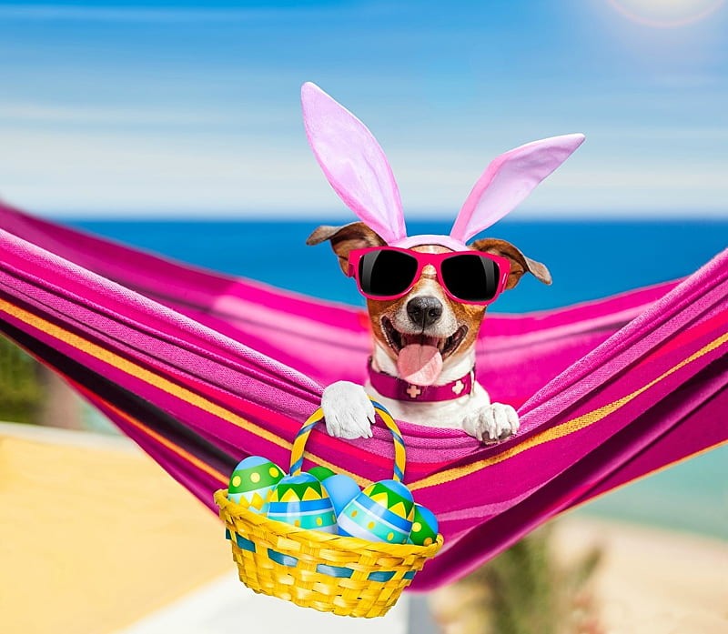 Wir oeffnen zu Ostern mit vielen Neuligkeiten!